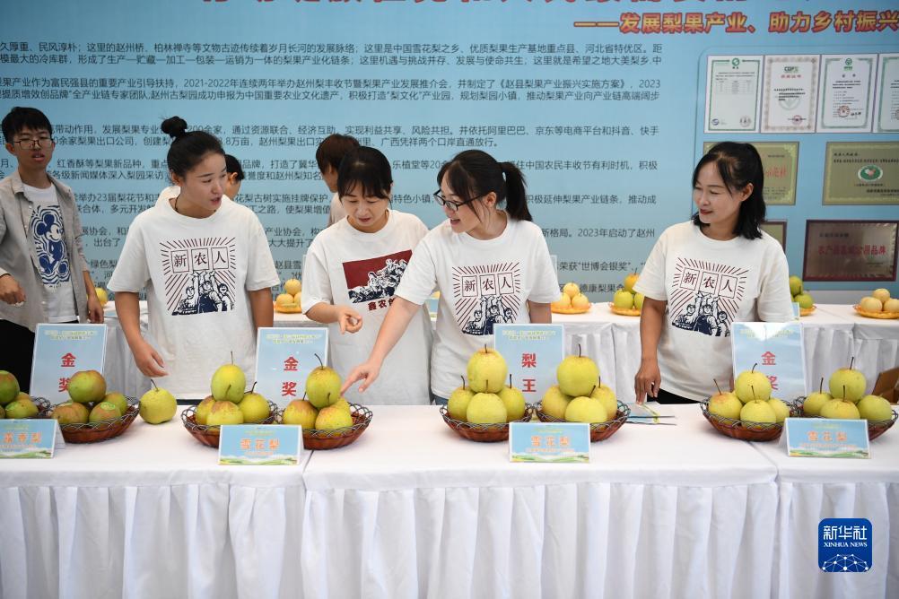 棋牌乐游戏中心